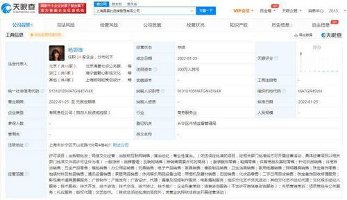 楊天真創(chuàng)辦真真品牌管理公司 以專業(yè)攝像與制作服務(wù)賦能品牌升級